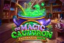 THE MAGIC CAULDRON